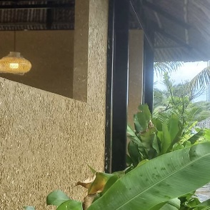Hình 1: sơn vữa trộn rơm trấu